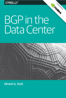 BGP @library_Sec.pdf